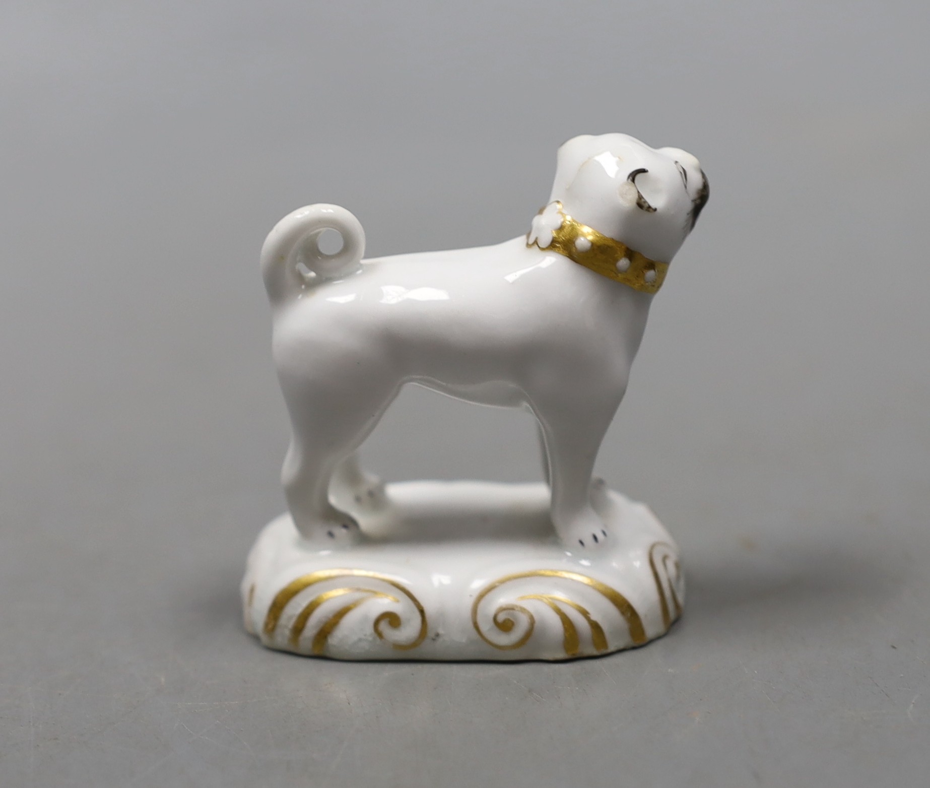 A rare Staffordshire porcelain model of a standing pug, c.1830–50, on a scroll moulded base, Provenance- Dennis G Rice collection